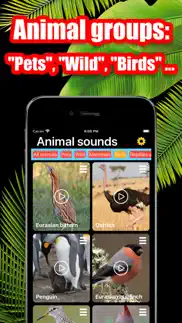 How to cancel & delete animal sounds ® 3