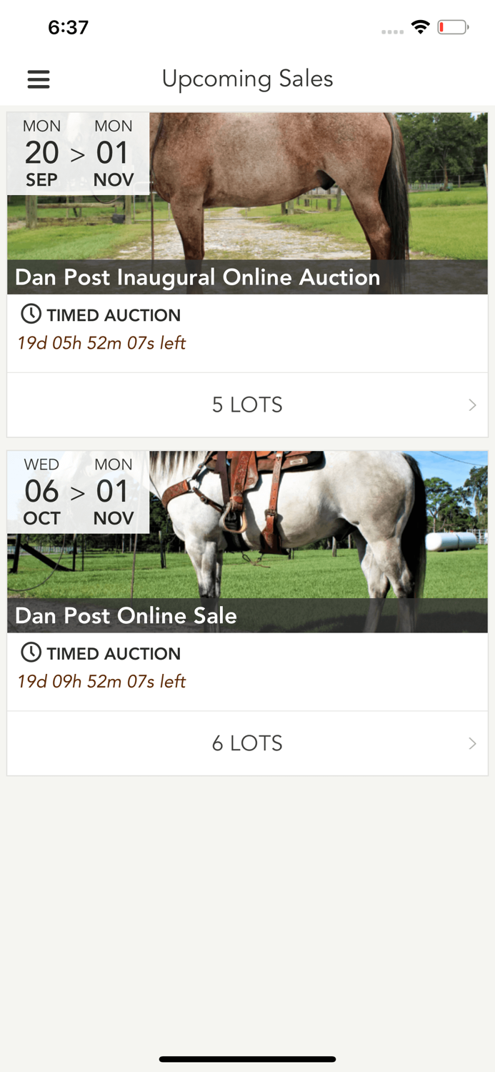 Dan Post Quarter Horse Auction