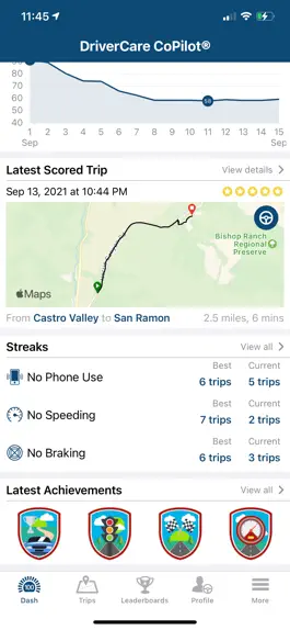 Game screenshot DriverCare CoPilot® apk