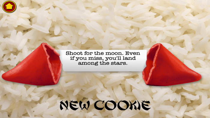 Chinese Food and Fortune Cookies