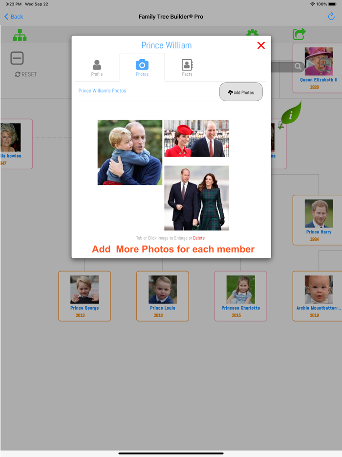 Family Tree Builder Pro