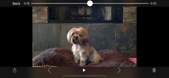 iCam Pro - Webcam Streaming