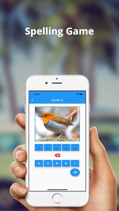English Vocabulary-Flashcards Screenshot