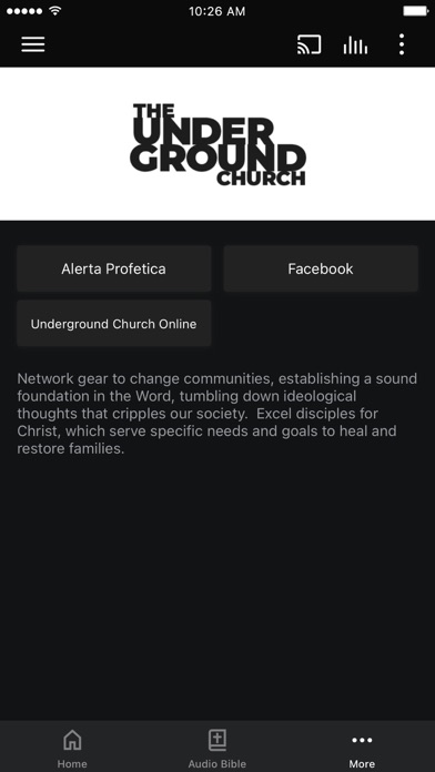 Underground Church screenshot 3