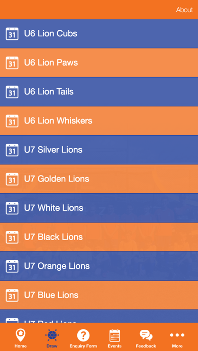 Lions FC Screenshot