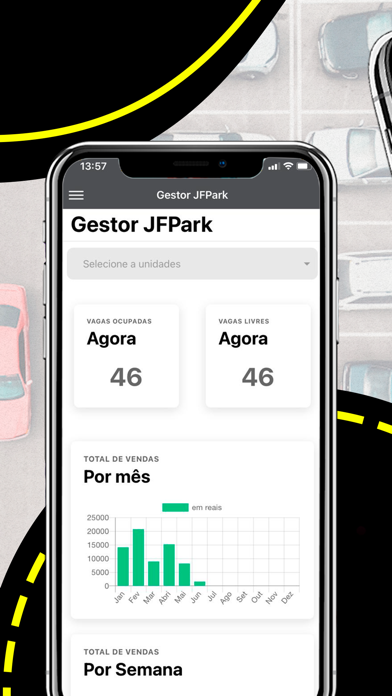 JFPARK Gestor Screenshot