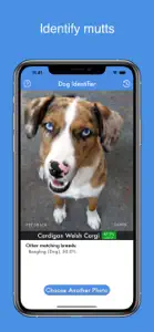 Dog ID - Dog Breed Identifier screenshot #3 for iPhone