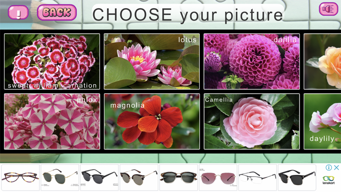 Slide and Jigsaw Puzzles