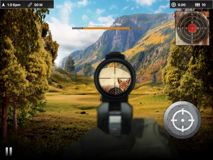 Coyote Target Shooting