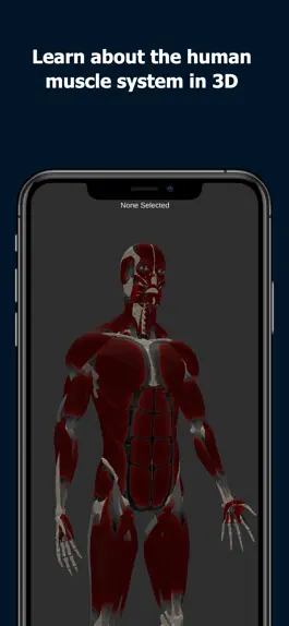 Game screenshot Anatomy Of Human Muscles mod apk