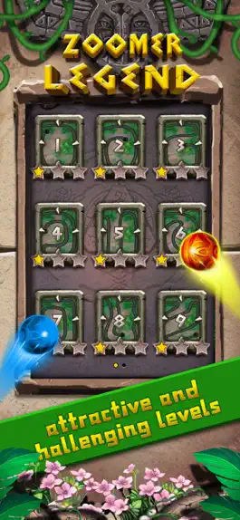 Game screenshot Zoomer Legend apk