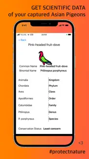 asian pigeon scan identifier iphone screenshot 4