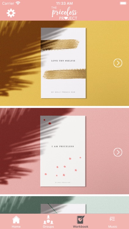 The Priceless Project screenshot-5