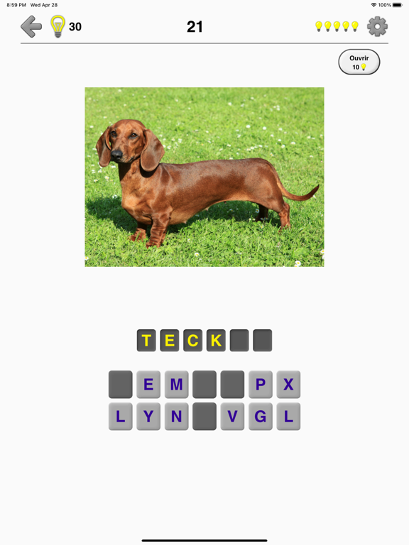 Screenshot #5 pour Chiens: Photo-quiz et la liste