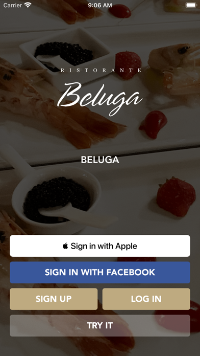 BELUGA Screenshot