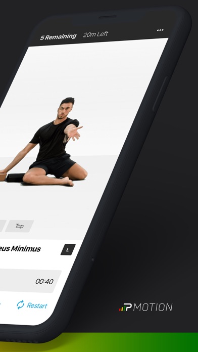 PMotion Screenshot