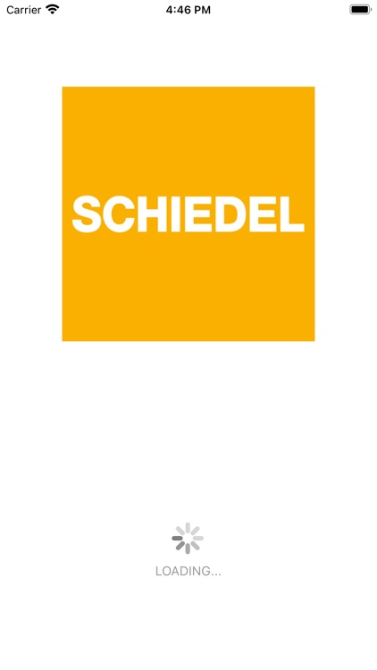 Schiedel INflame! FIRE