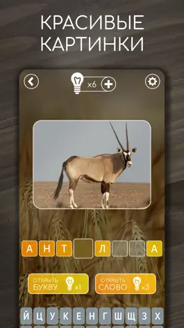 Game screenshot Кроссвордиум apk