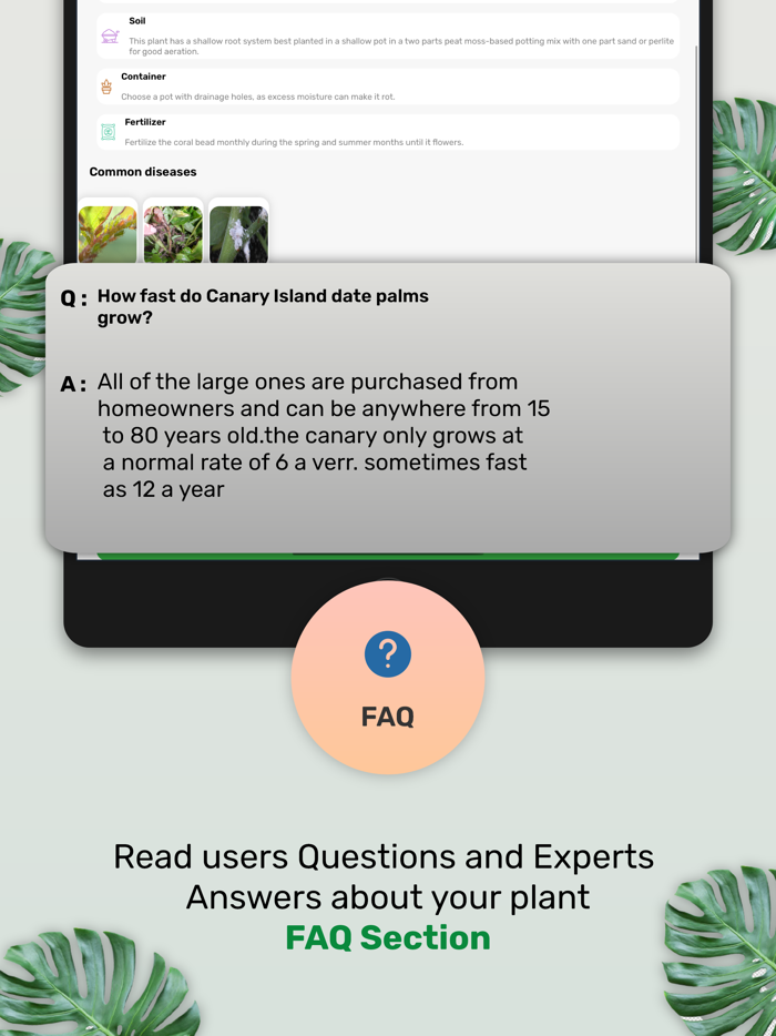Plantinapp  Plant Identifier