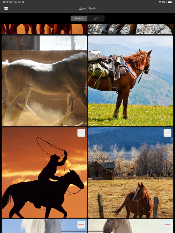 خلفيات خيول