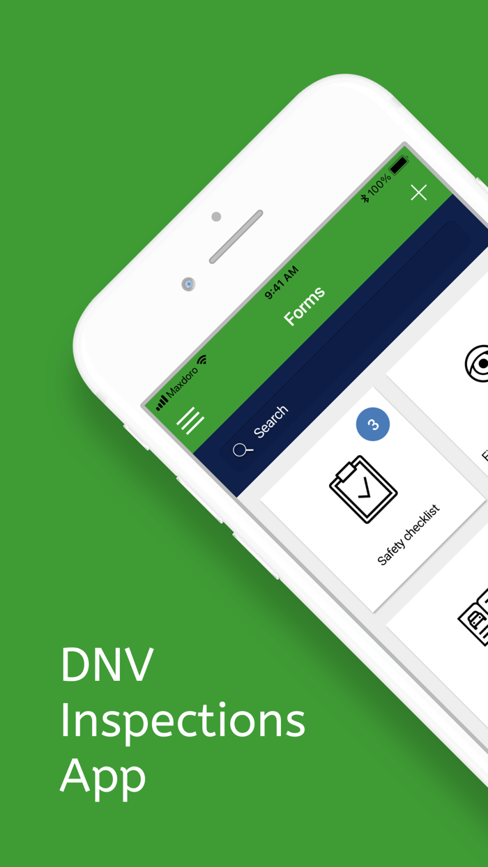 DNV Safety Inspections