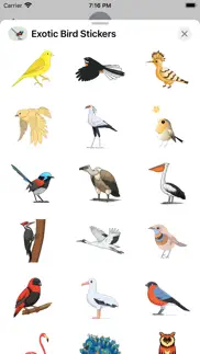 exotic bird stickers iphone screenshot 3