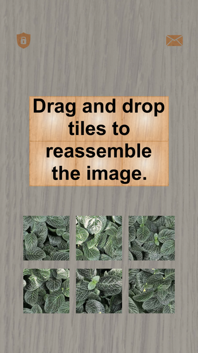 Plants: Tiling Puzzles Screenshot