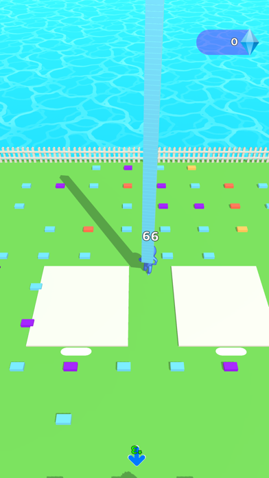 Home Race Screenshot