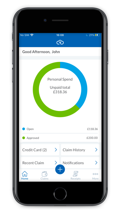 Webexpenses Screenshot