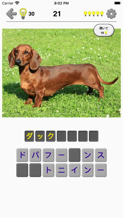 犬 - 写真付きクイズ、犬の品種一覧のおすすめ画像2