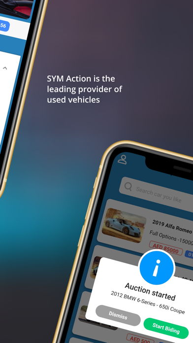 SellYourMotors Auction Screenshot