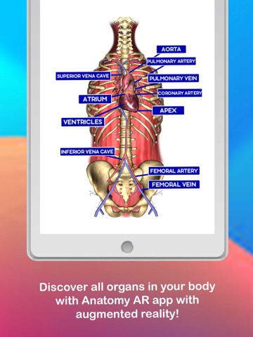 Anatomy AR 4D -Virtual T-Shirtのおすすめ画像2