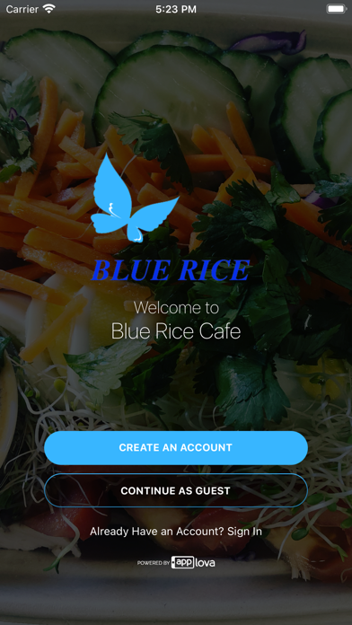 Blue Rice Cafe Screenshot