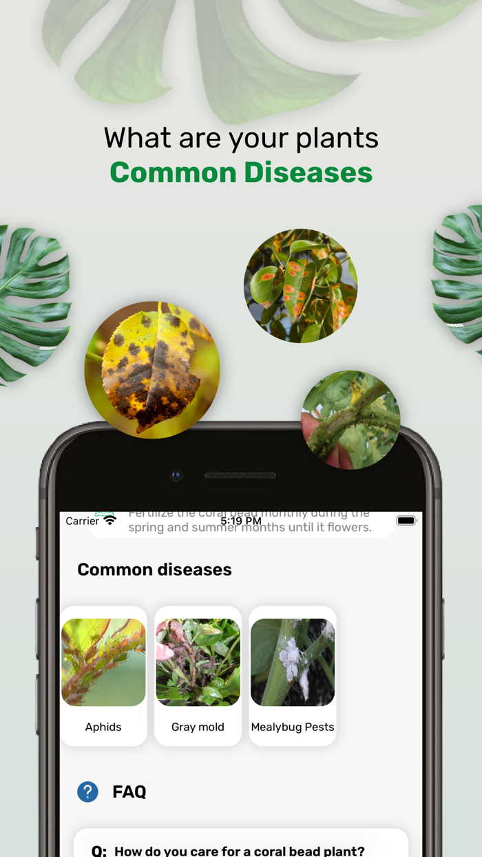 Plantinapp  Plant Identifier