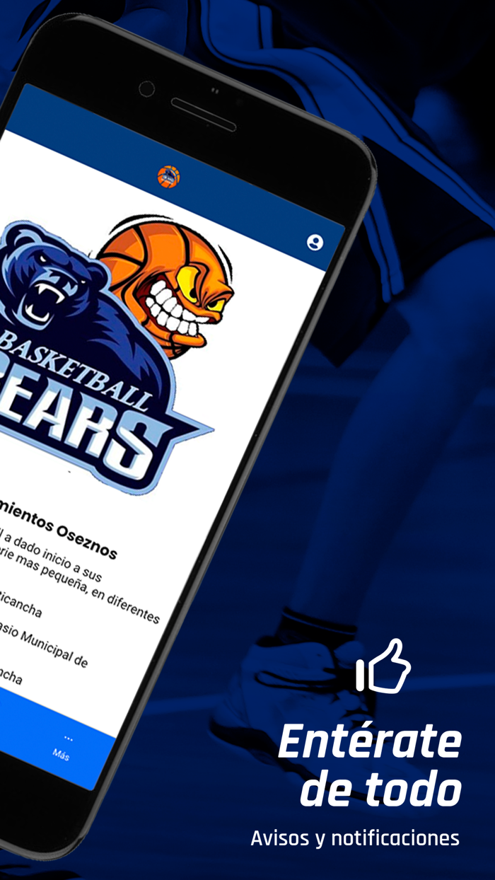 Academia Basketball Bear