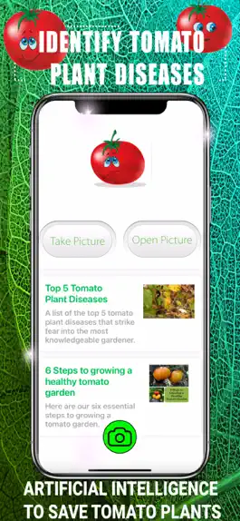 Game screenshot Identify Tomato Plant Diseases mod apk