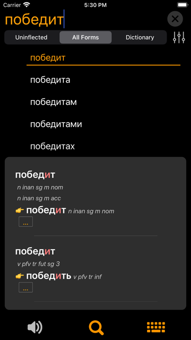 RuFlex Pro Russian Inflection Screenshot