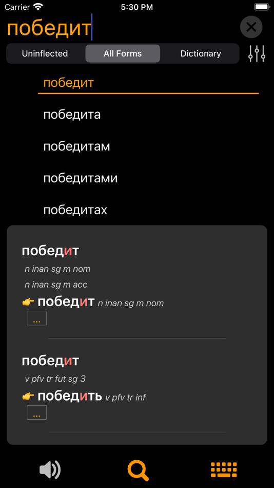 #4. RuFlex Pro Russian Inflection (iOS) 由: SERGEY CHALKOV