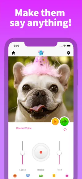 Game screenshot My Talking Pet mod apk