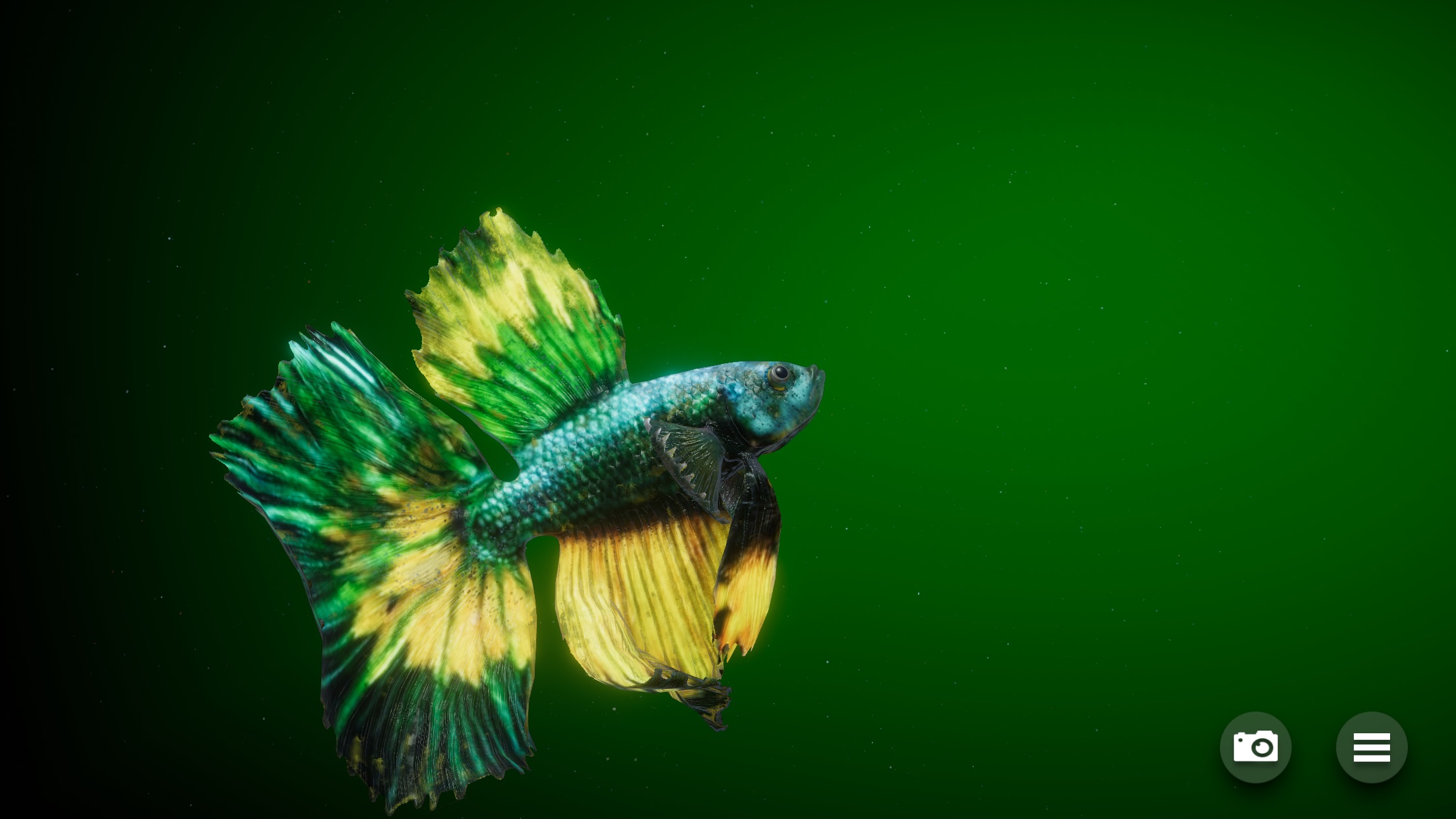 Screenshot do app Betta Fish - Virtual Aquarium