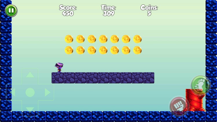 Super Ninja Run Game