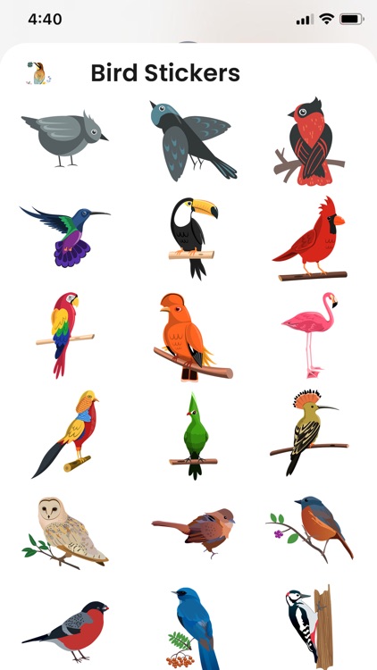 Birds Life Stickers!