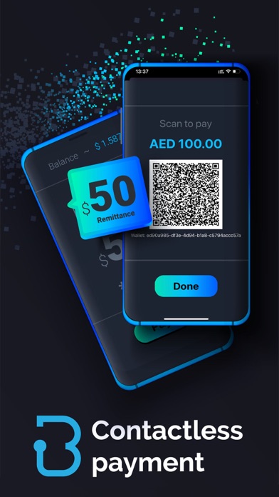 BPay Lite Screenshot
