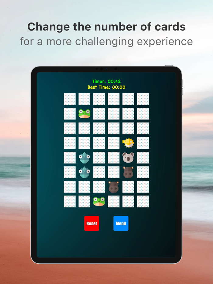 Memory Match Brain Exerciser