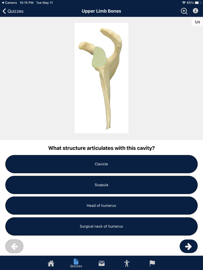 UBC Human Anatomy Teaching App