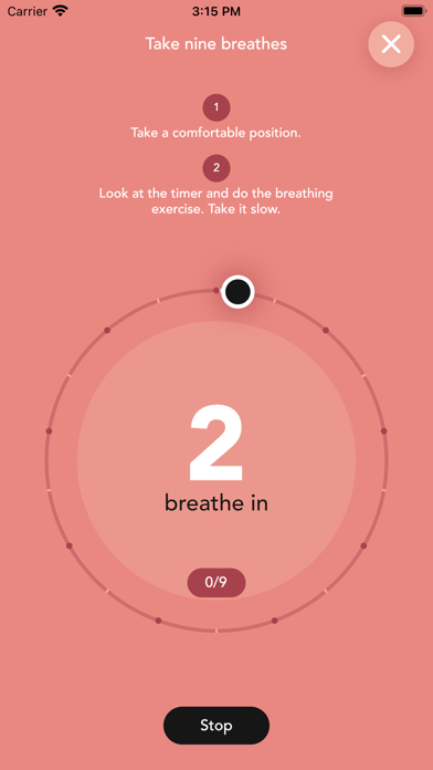 MindSummit Screenshot