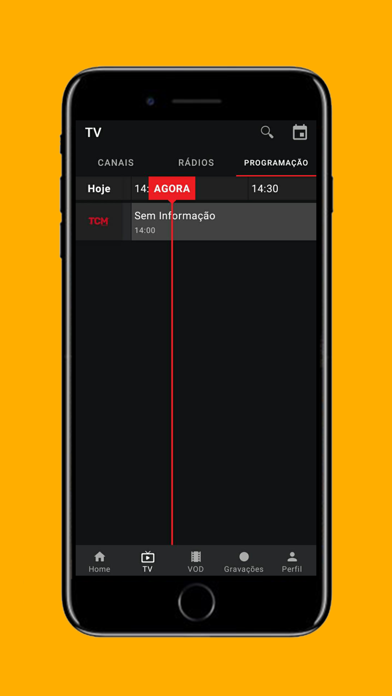 AdylNetPlay Screenshot
