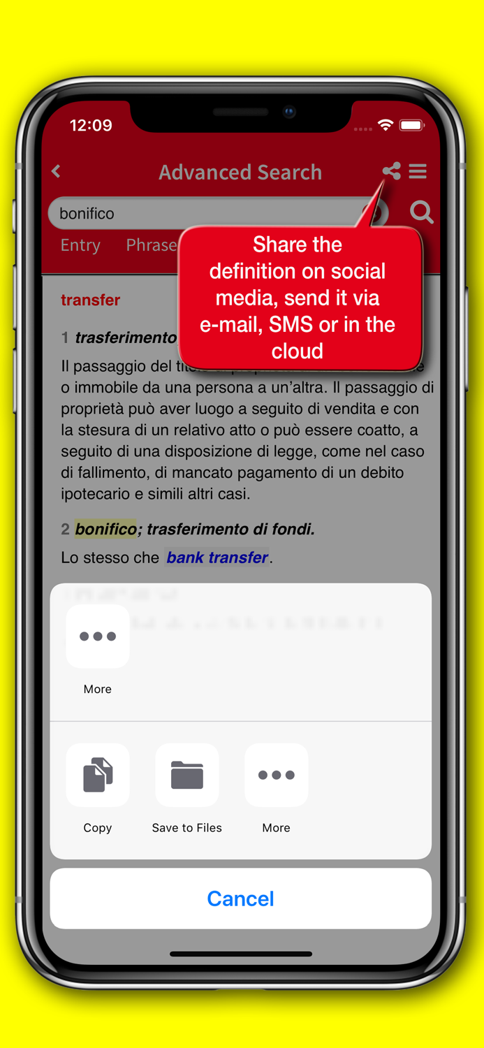 New Economics and Business