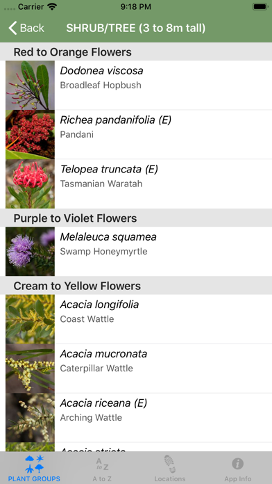 Flowering Plants of Tasmania Screenshot