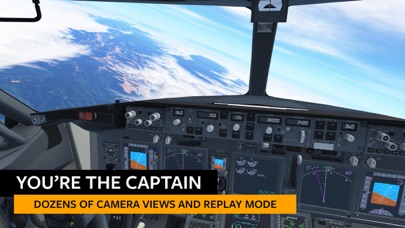 Screenshot from Infinite Flight Simulator